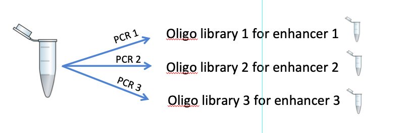 PCR to amplify a library from the oligo pool
